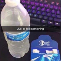 a bottle of water next to a pack of gum