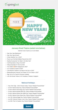 springbot's new year's e-mail