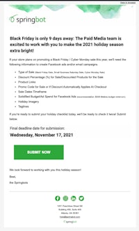 springbot's black friday email